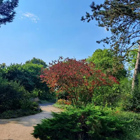 Ruhiges Am Kurpark In Bester Wohnlage Apartment
