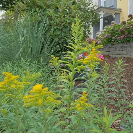 Appartement In Toplage Am Kurpark, Ruhig Und Zentral *